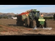 Tomato Harvest 4 1528